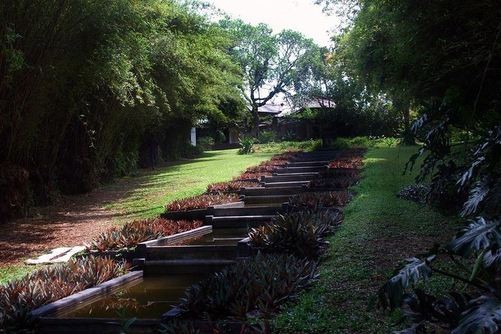 Lunuganga Garden
